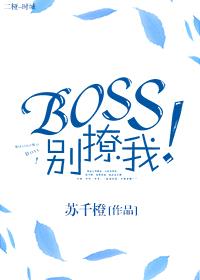 Boss别撩我！封面